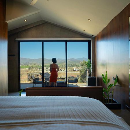 Bajo Estrellas Hotel Contemporaneo Valle de Guadalupe Eksteriør bilde
