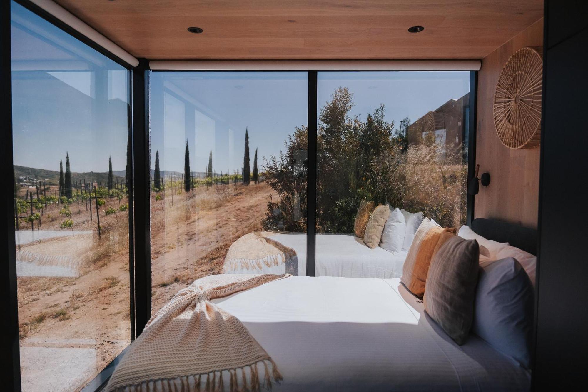 Bajo Estrellas Hotel Contemporaneo Valle de Guadalupe Eksteriør bilde